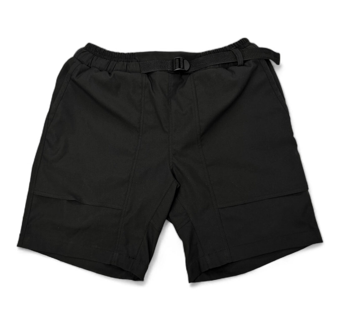 Nike sb flex everett shorts on sale